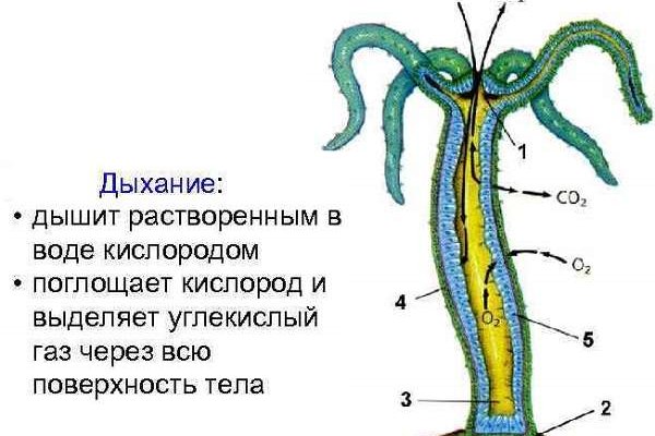 Кракен официальный сайт 2krnk