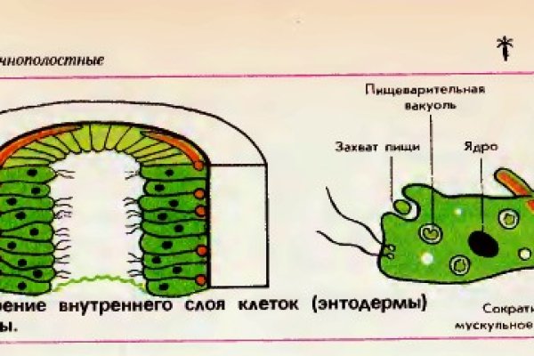 Кракен официальный сайт ссылка