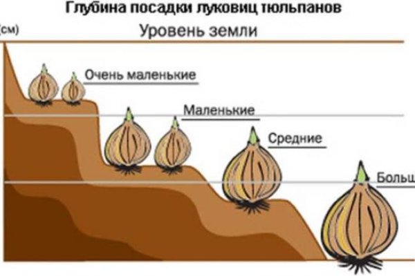 Почему не работает кракен сегодня