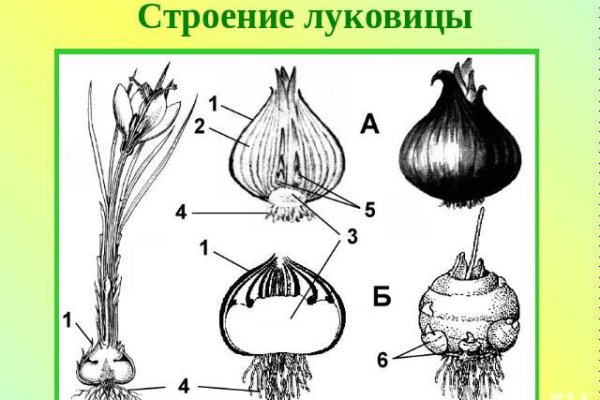 Кракен официальный